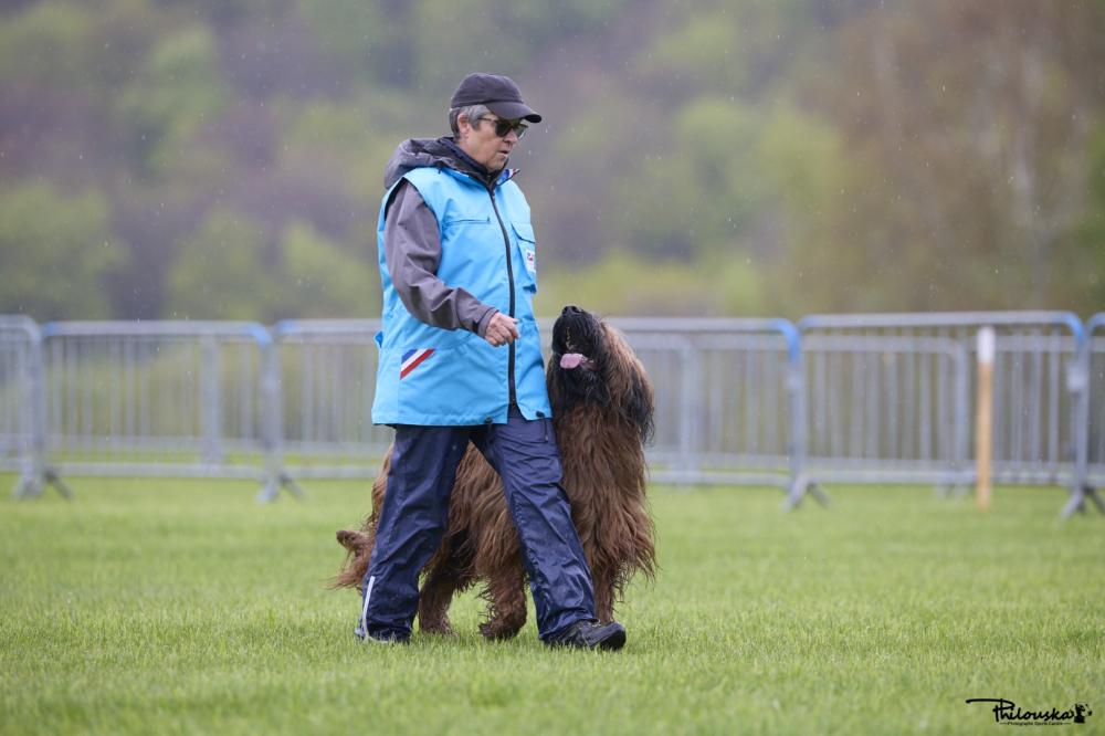 championne du monde du berger francais